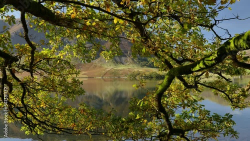 Beautiful Autumnal sun dappled leaves at Crummock Water, Cumbria, England. photo