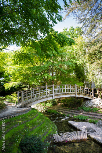 Traditional wooden bridge on a japanese garden pond