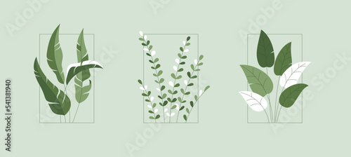 Vector set of leaves in flat style with frame and outline. Illustration with plant branches. Isolated green bush template for home interior design, coziness. Botanical line art
