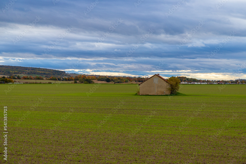 Agra field with a single shed in autumn Agra field with a single shed in autumn