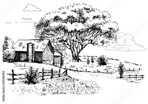 Green grass field on small hills. Meadow, alkali, lye, grassland, pommel, lea, pasturage, farm. Rural scenery landscape panorama of countryside pastures. Vector sketch illustration
