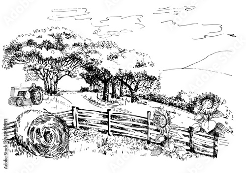 Green grass field on small hills. Meadow, alkali, lye, grassland, pommel, lea, pasturage, farm. Rural scenery landscape panorama of countryside pastures. Vector sketch illustration