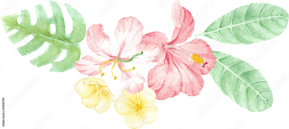 watercolor hand draw summer red hibiscus flower bouquet elements
