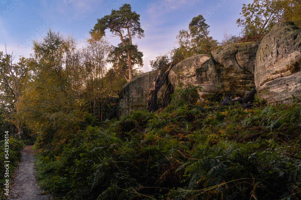 Autumn dawn at Eridge Rocks on the High Weald East Sussex south east England