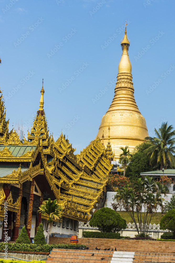 Fototapeta premium Shwedagon Pagoda in Myanmar