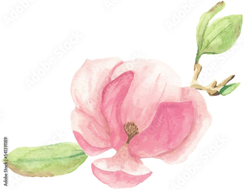 watercolor pink blooming magnolia flower and branch bouquet