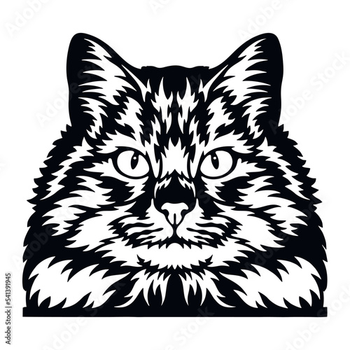 Siberian Cat Vector, Peeking Cats, Cats Breed, Pet Vector portrait, Cats Head