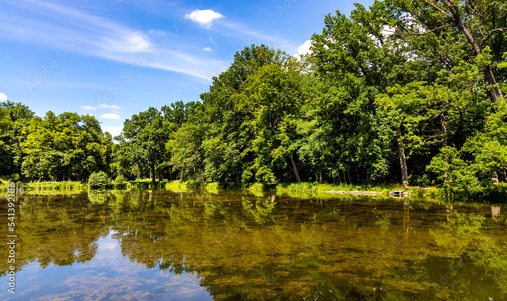 Historic park surrounding XVI century Rozalin Palace with vintage trees and ponds during summer season in Rozalin village in Mazovia region of Poland Historic park surrounding XVI century Rozalin Palace with vintage trees and ponds during summer season in Rozalin village in Mazovia region of Poland
