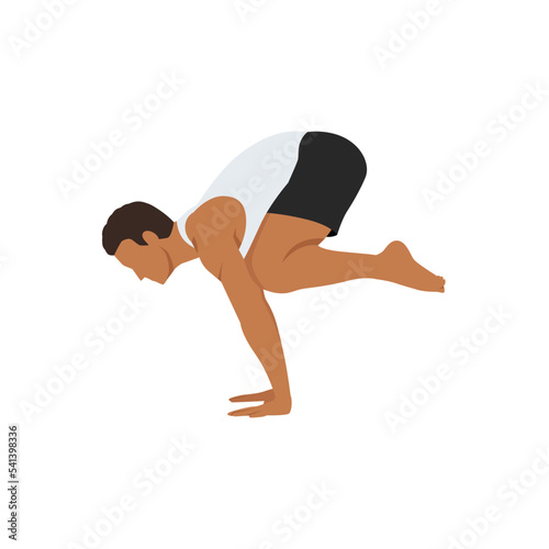 Man doing Crow pose bakasana exercise. Flat vector illustration isolated on white background