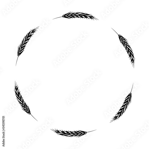 Circle with abstract stalks of wheat. Round frame, birds feather. Minimalist design. Wreath, twigs, cereal plants. Sketch, doodle style. Outline drawing in black. Vector illustration. Harvest logo