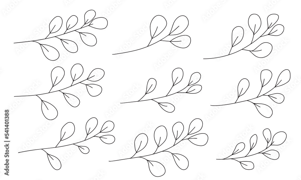 Set of branch with leaves for Christmas or flower design. Vector illustraton.