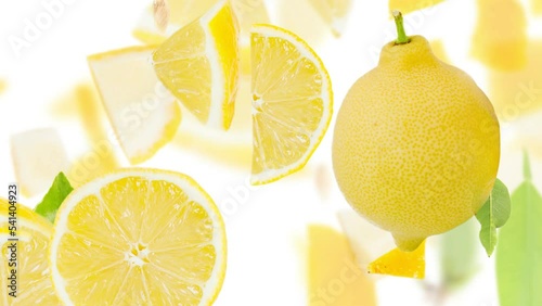 Lemon fruit pieces, slices and leaves being moved upwnwards isolated on white. Seamless looping. High quality 4k video.
