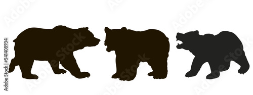 Animals. Black and white image of a big bear,  Vector drawing.
