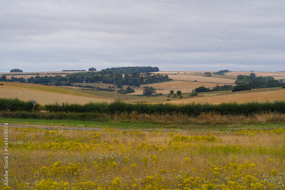 Beautiful rural landscape with agriculture fields at Salisbury Plain in Wiltshire on a cloudy summer day. Photo taken August 2nd, 2022, Amesbury, England.