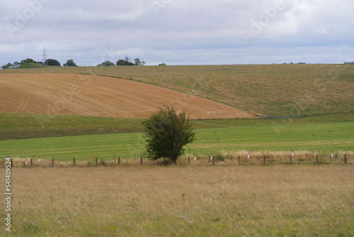 Beautiful rural landscape with agriculture fields at Salisbury Plain in Wiltshire on a cloudy summer day. Photo taken August 2nd, 2022, Amesbury, England. photo