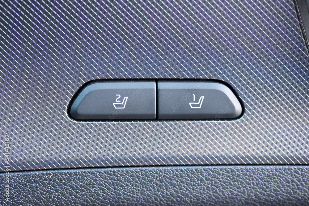 Driver and passenger seat control buttons Driver and passenger seat control buttons