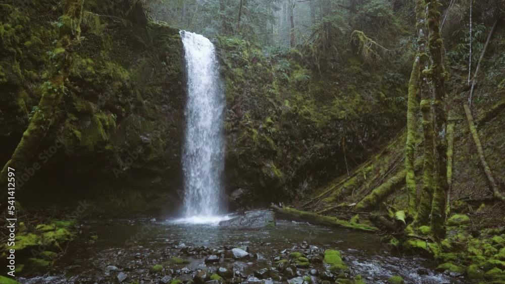 A hidden waterfall in the Gifford Pinchot National Forest, located in Washington State A hidden waterfall in the Gifford Pinchot National Forest, located in Washington State