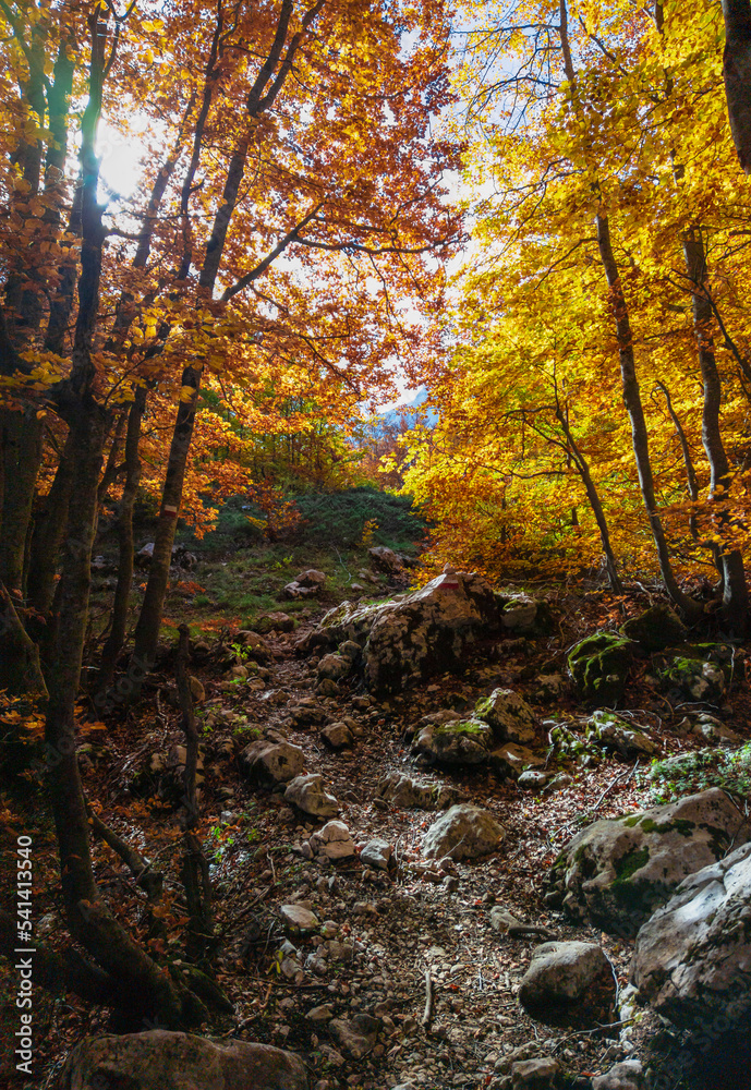 Monte Velino (Italy) - The landscape summit of Mount Sirente, one of the highest peaks of the Apennines in Abruzzo region, during the autumn foliage with hiker. Monte Velino (Italy) - The landscape summit of Mount Sirente, one of the highest peaks of the Apennines in Abruzzo region, during the autumn foliage with hiker.