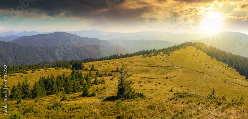 green nature environment of trascarpathia at sunset. beautiful scenery in mountains of chornohora ridge in summer. landscape with spruce forest on the hill in evening light photo