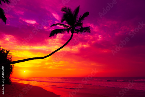 Fototapeta Naklejka Na Ścianę i Meble -  Colorful sunset with coconut palm tree silhouette on tropical island beach with calm ocean