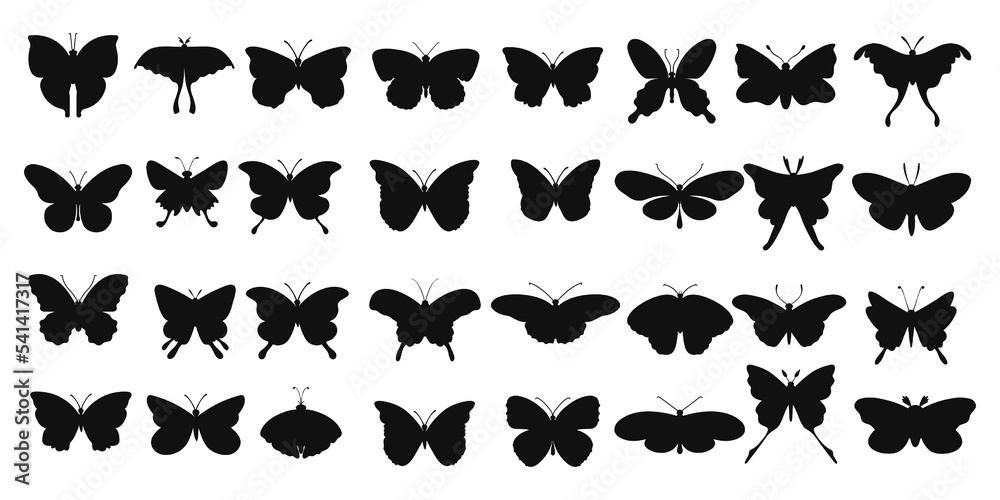 Big collection silhouette black butterflies for design isolated on white