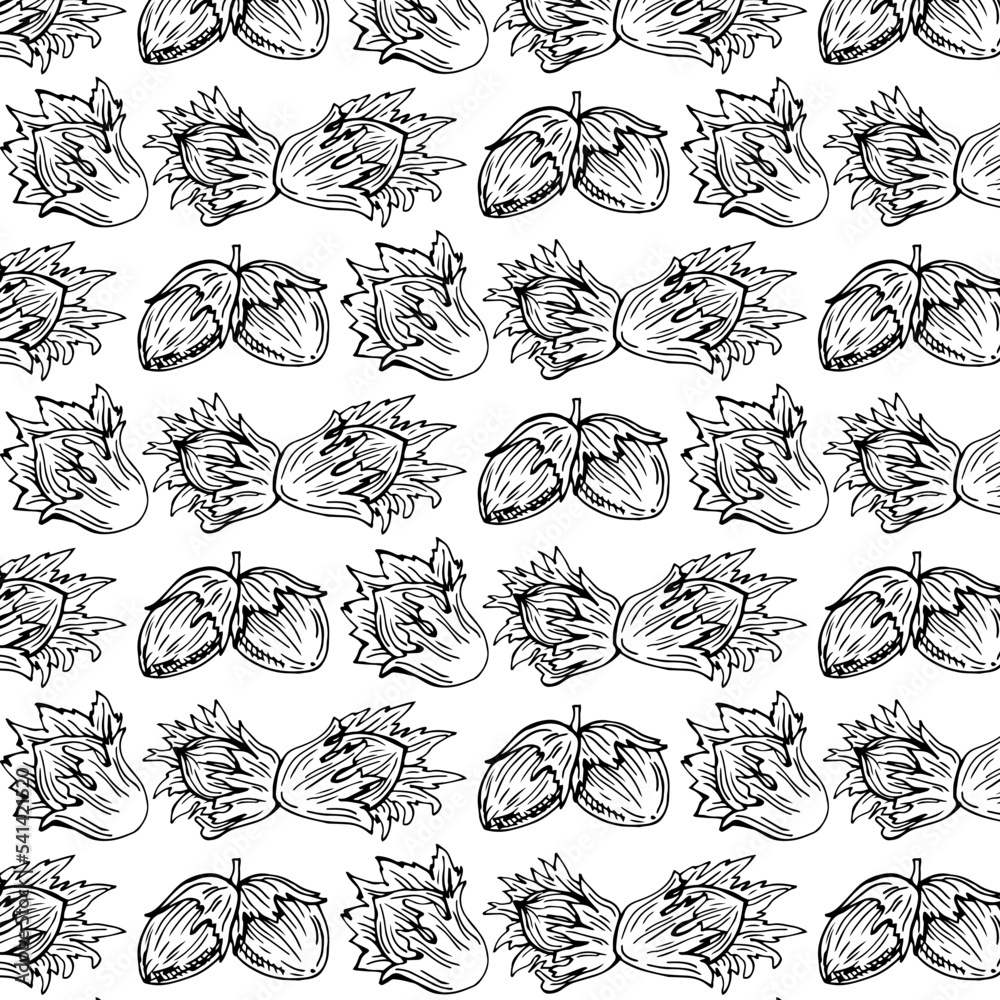 Fototapeta premium Seamless vector pattern with linear outline hazelnut. Sketches of nuts in vintage style