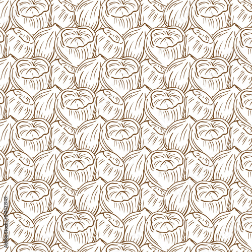 Seamless vector pattern with linear outline hazelnut. Sketches of nuts in vintage style