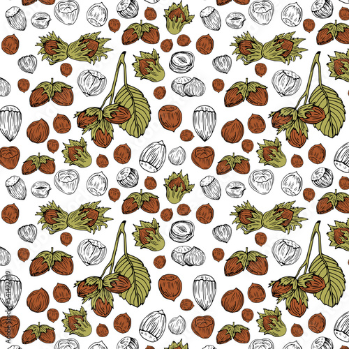 Seamless vector pattern with linear outline hazelnut. Sketches of nuts in vintage style