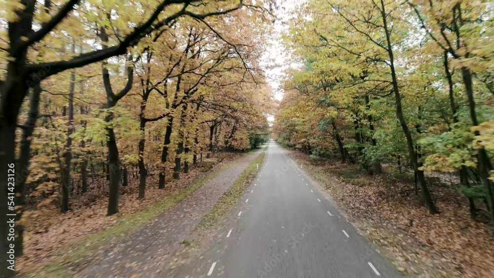 Drone shot above road through the trees in autumn season. Drone shot above road through the trees in autumn season.