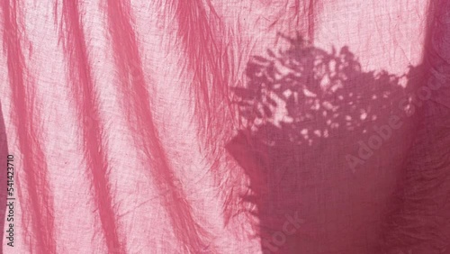 Plant pot shadow behind pink linen curtains on the window Morning sun light in the room overlay background. Home natural flowers leaves branches silhouette swaying on wind Apartment interior design 4K