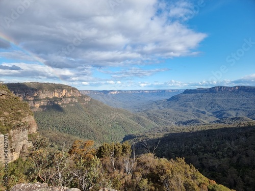 View of Australian Eucalypt Forest on the Prince Henry Cliff Track in the Blue Mountains of New south Wales © Diane