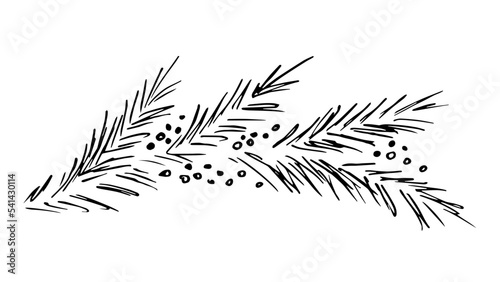 Hand drawn simple black outline vector illustration. Pine, spruce branch, snow. For New Year holiday decor, Christmas design, postcards, labels.