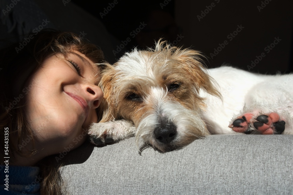 child's face expresses love for his fluffy dog Jack Russell lies on the couch child's face expresses love for his fluffy dog Jack Russell lies on the couch