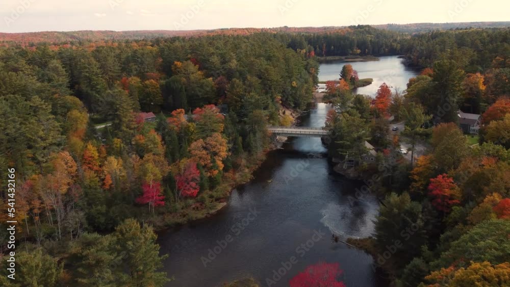 Aerial tracking view of forest river in autumn, car crosses bridge over river, beautiful forest landscape Aerial tracking view of forest river in autumn, car crosses bridge over river, beautiful forest landscape