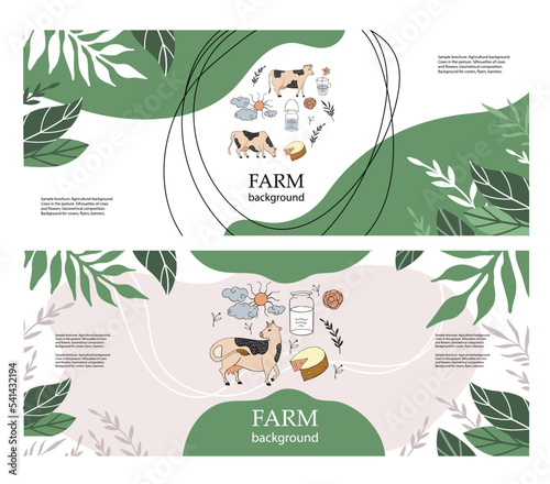 Horizontal agricultural backgrounds. Cows, milk can, sun, clouds and flowers.