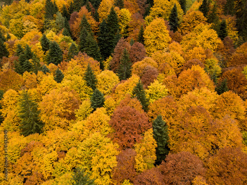 Top aerial view of country road in autumn forest Bulgaria 