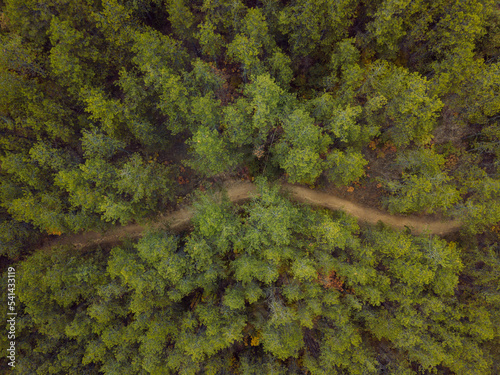 Top aerial view of country road in autumn forest