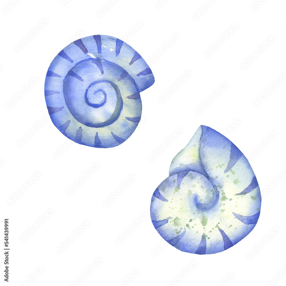 Set of blue seashells isolated on white. Watercolor illustration.
