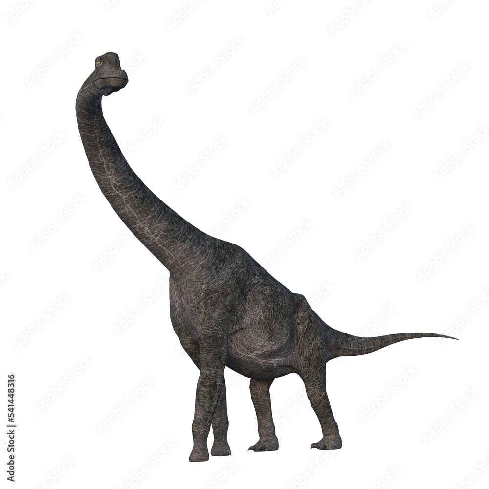 Fototapeta premium Brachiosaurus Jurassic dinosaur. 3D illustration isolated on transparent background.