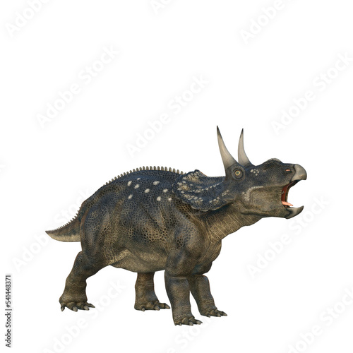 Roaring Nedoceratops dinosaur  originally know as Diceratops. 3D illustration isolated on transparent background.