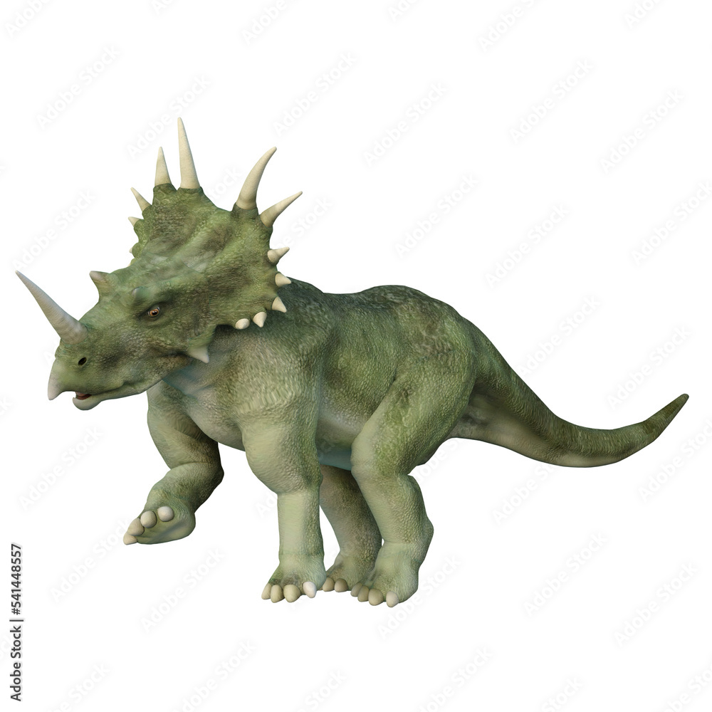 Fototapeta premium Styracosaurus Dinosaur. 3D illustration isolated on transparent background.