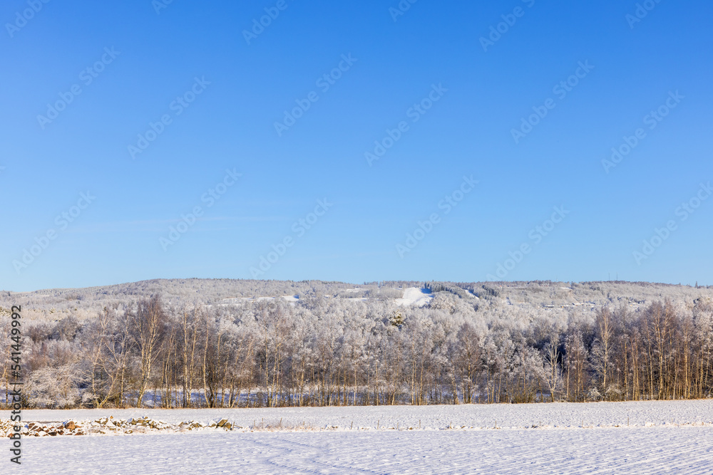 custom made wallpaper toronto digitalFrosty landscape view at a mountain in the winter