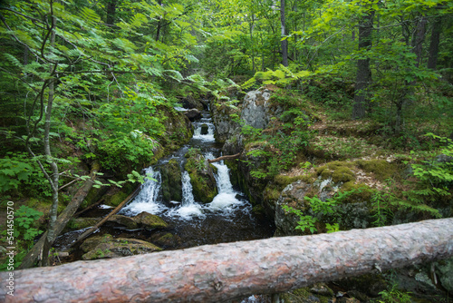Reany Falls, small waterfalls in Michigan, USA photo