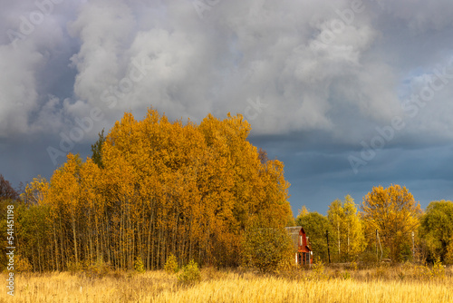 Bright sunny day in autumn. Landscape, bright yellow forest and grass against a dark sky. Dramatic sky on yellow background.