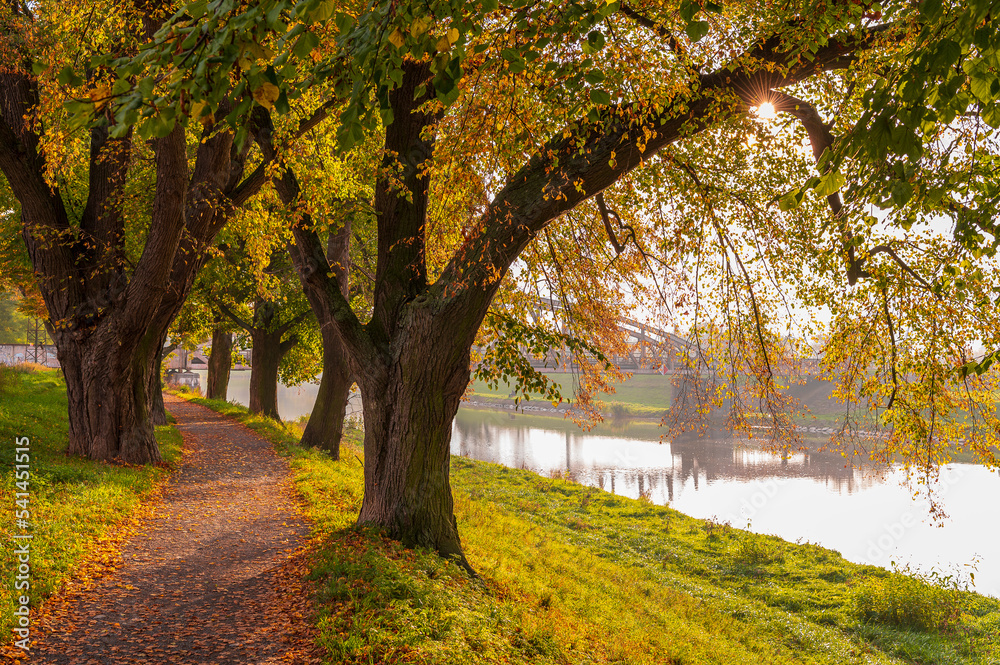 Autumn, River, forester, tree, path, Autumn, River, forester, tree, path,