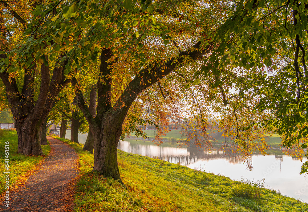 Autumn, River, forester, tree, path, 