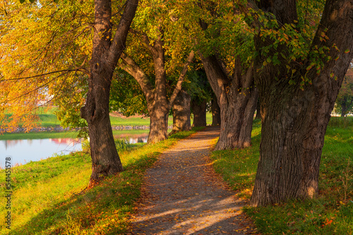 Autumn  River  forester  tree  path  