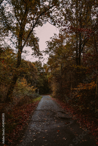 Autumn colors