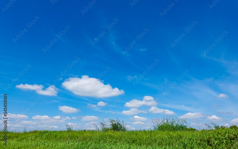秋の多摩川土手　青い空と白い雲