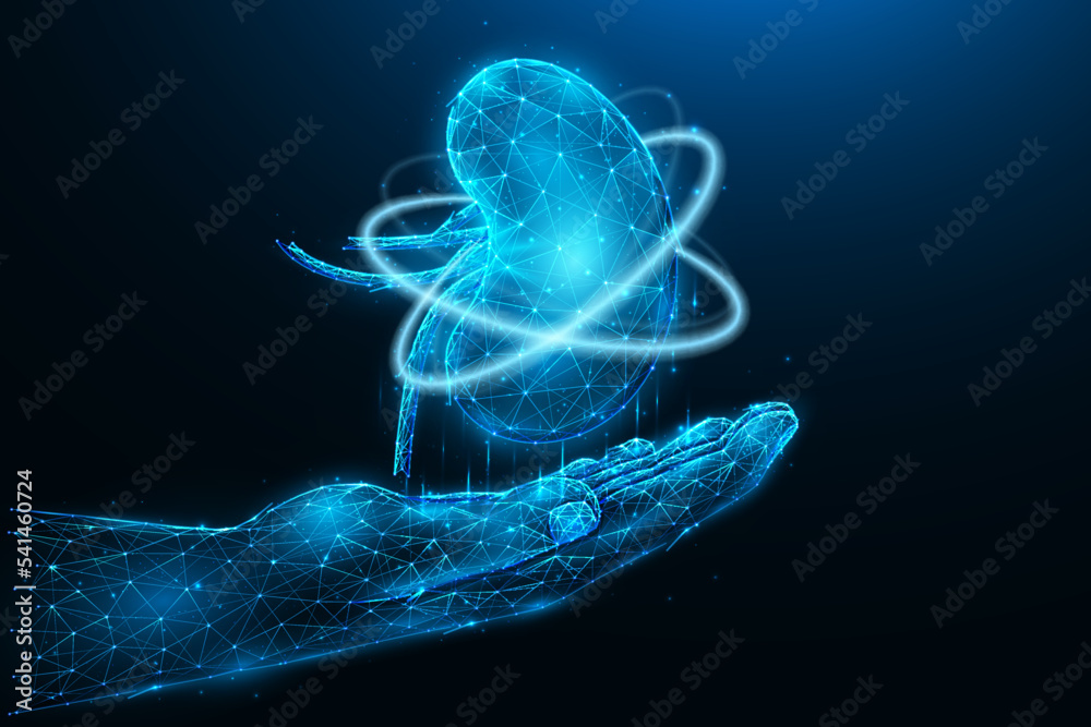 Polygonal vector illustration of a hand with a human kidney. Kidney ...